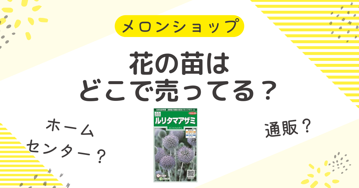 花の苗はどこで買う？ホームセンターや安い店や販売店からネット通販を調査